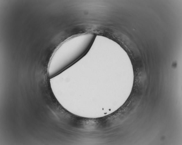 X0000116840513201001151250