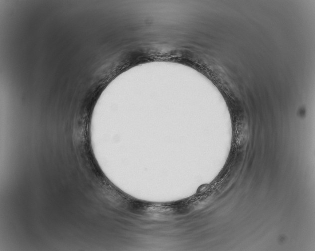 X0000116840515201001151250