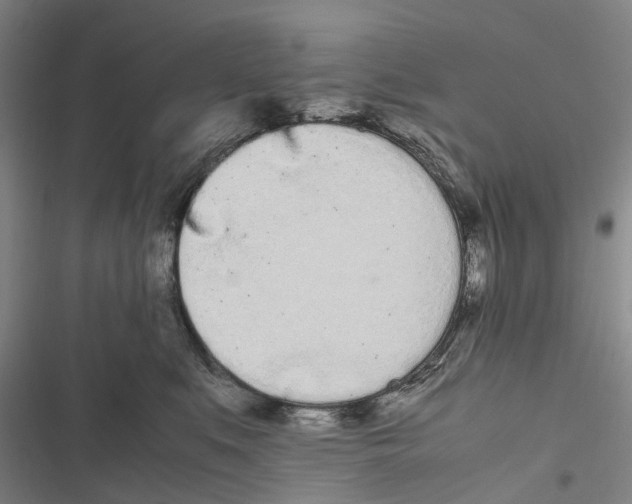 X0000116840519201001151250