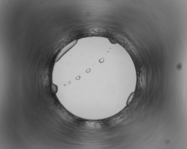 X0000116840520201001151250