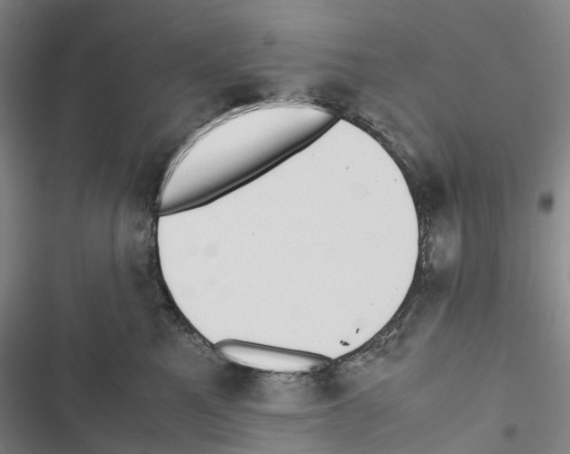 X0000116840521201001151250
