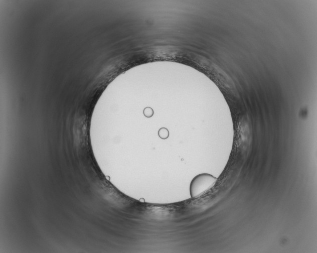 X0000116840522201001151250