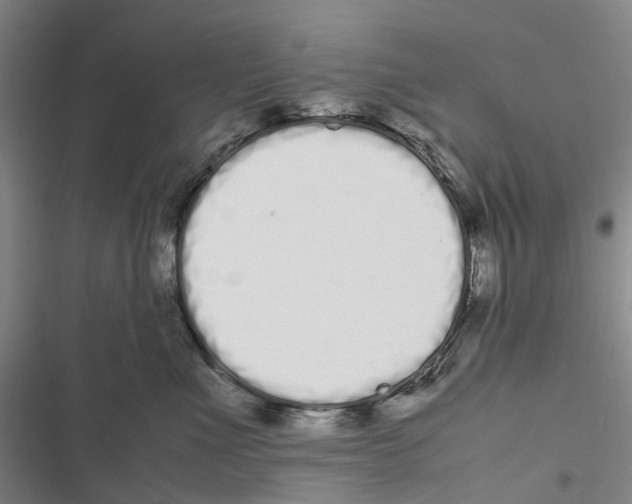 X0000116840523201001151250