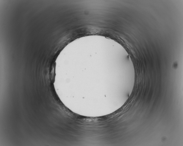 X0000116840524201001151250