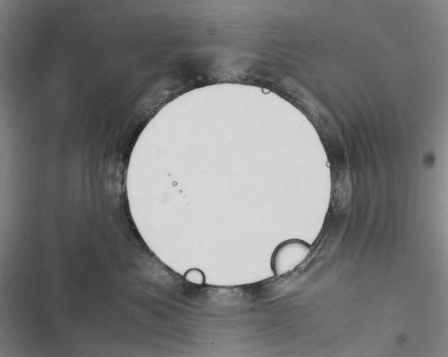 X0000116840525201001151250