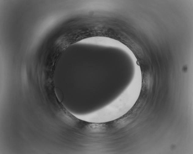 X0000116840526201001151250