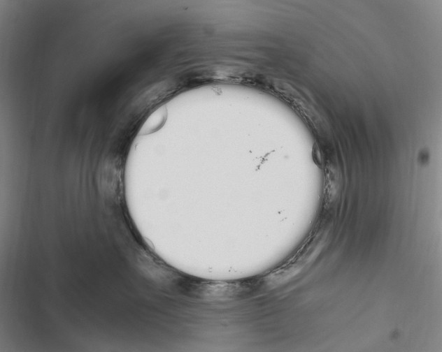 X0000116840527201001151250