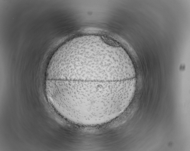 X0000116840529201001151249