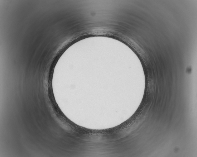 X0000116840530201001151249