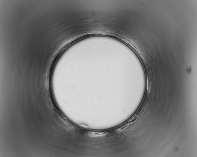 X0000116840531201001151249