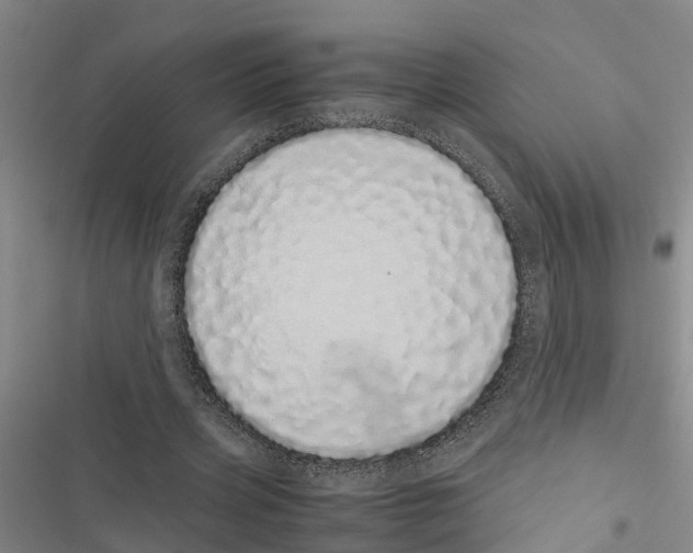 X0000116840533201001151249