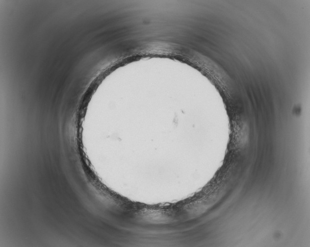 X0000116840534201001151249