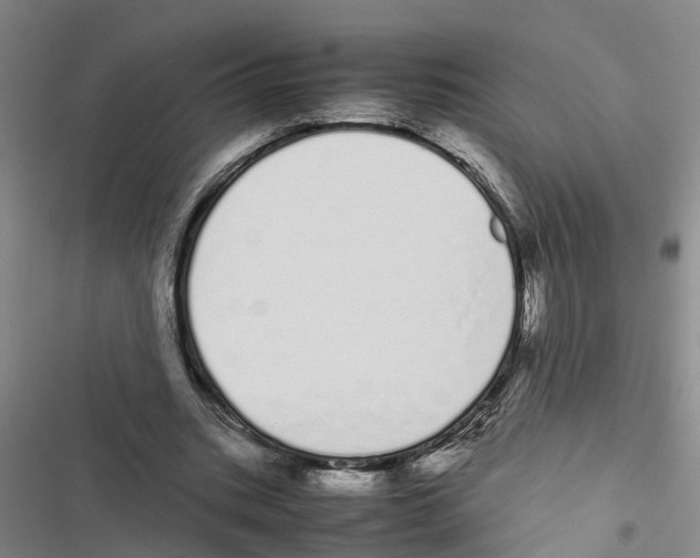 X0000116840535201001151249