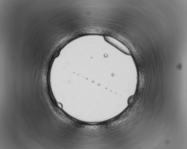 X0000116840538201001151249