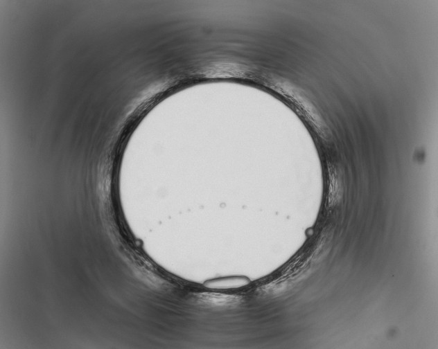 X0000116840539201001151249