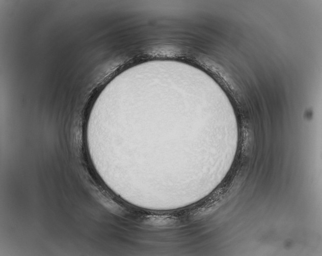 X0000116840541201001151249