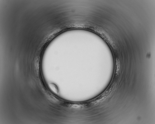 X0000116840542201001151249