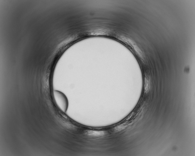 X0000116840543201001151249