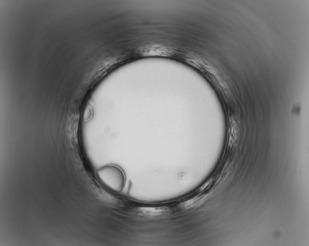 X0000116840545201001151249
