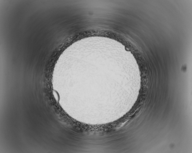 X0000116840546201001151249