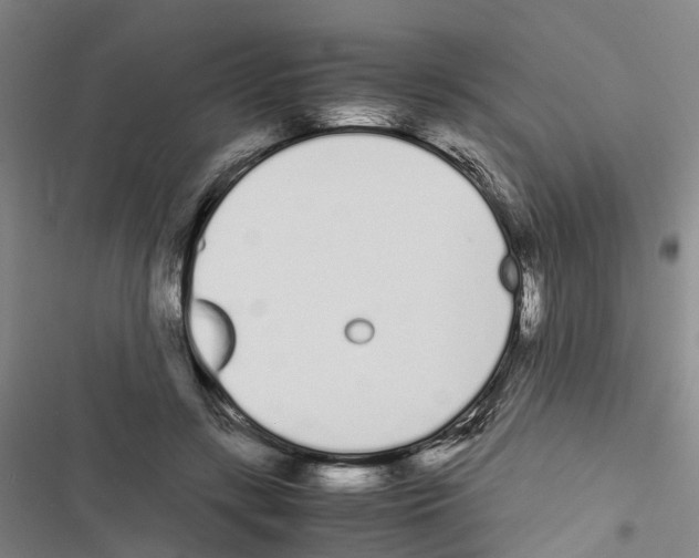 X0000116840547201001151249