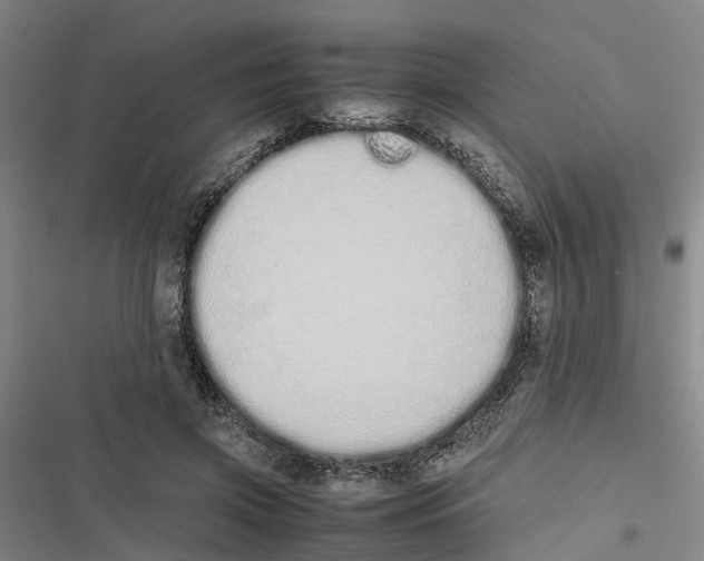 X0000116840549201001151249