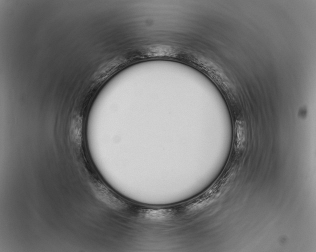 X0000116840550201001151249