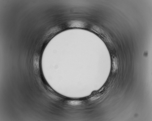X0000116840551201001151249
