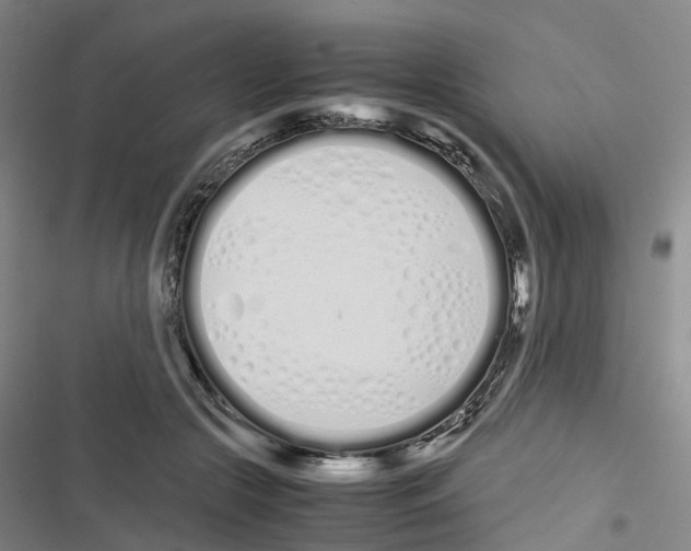 X0000116840553201001151249