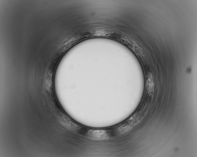 X0000116840554201001151249
