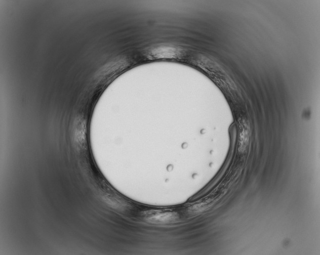 X0000116840555201001151249
