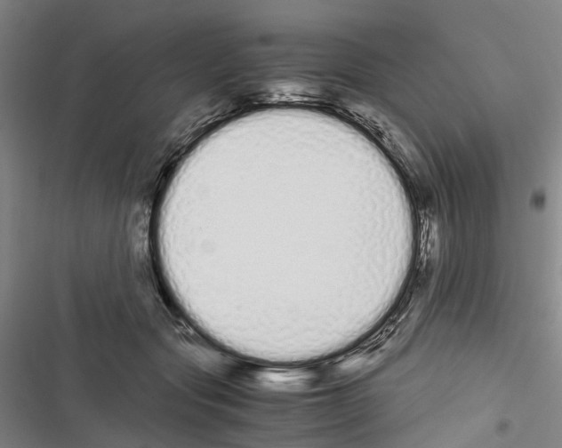 X0000116840557201001151249