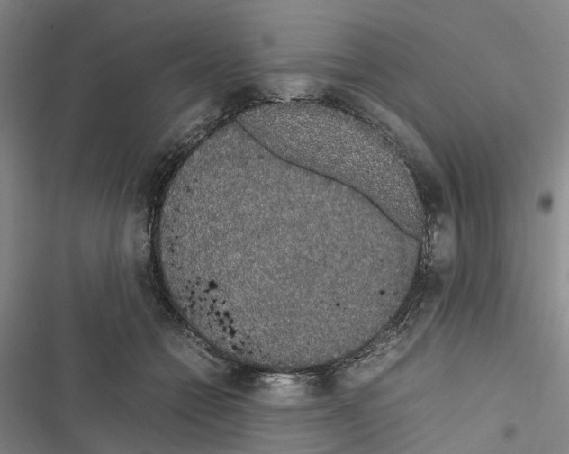 X0000116840558201001151249
