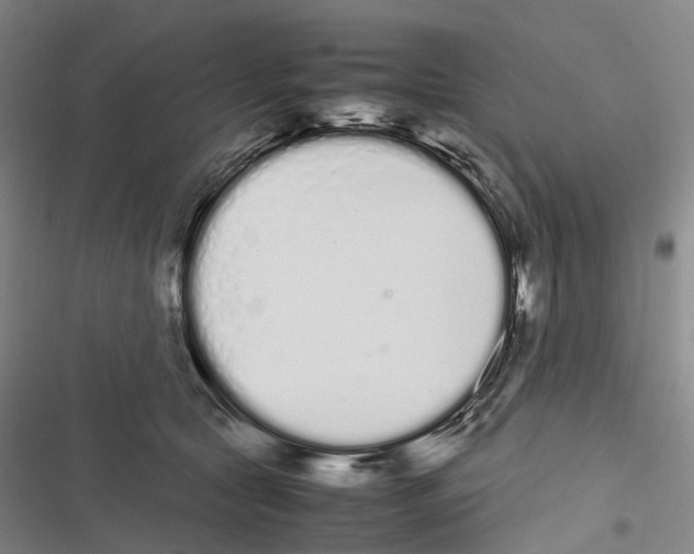 X0000116840561201001151249