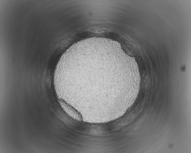X0000116840562201001151249