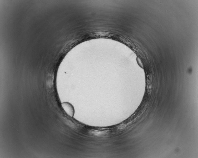 X0000116840563201001151249