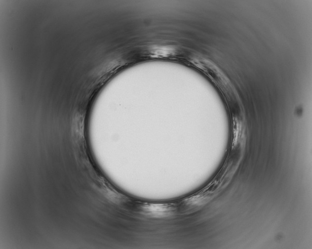 X0000116840565201001151249