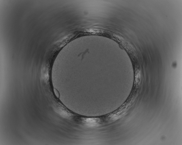 X0000116840566201001151249