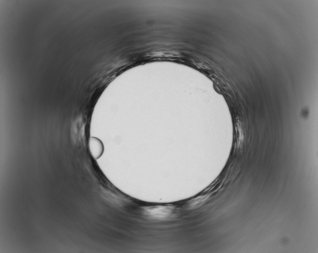 X0000116840567201001151249