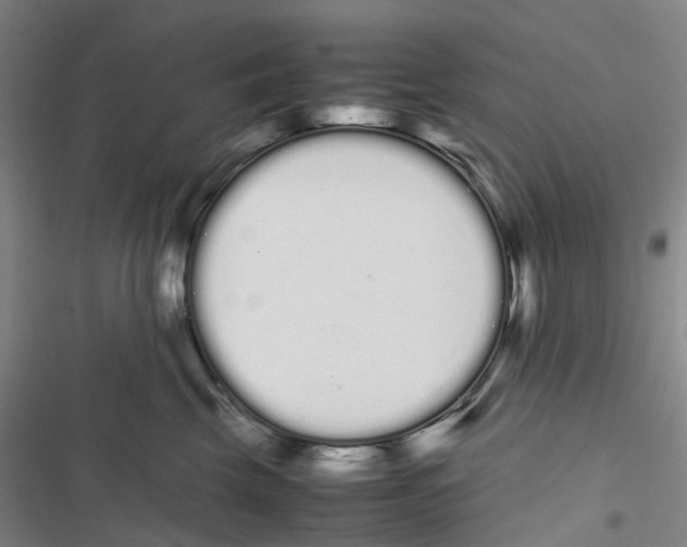 X0000116840569201001151249