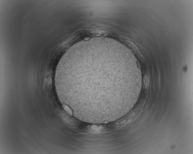 X0000116840570201001151249