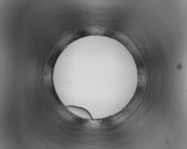 X0000116840573201001151250