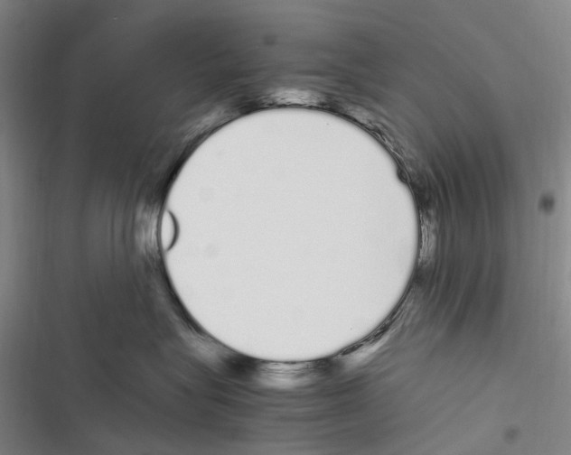 X0000116840575201001151250