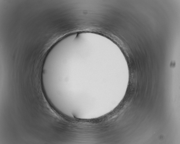 X0000116840577201001151249