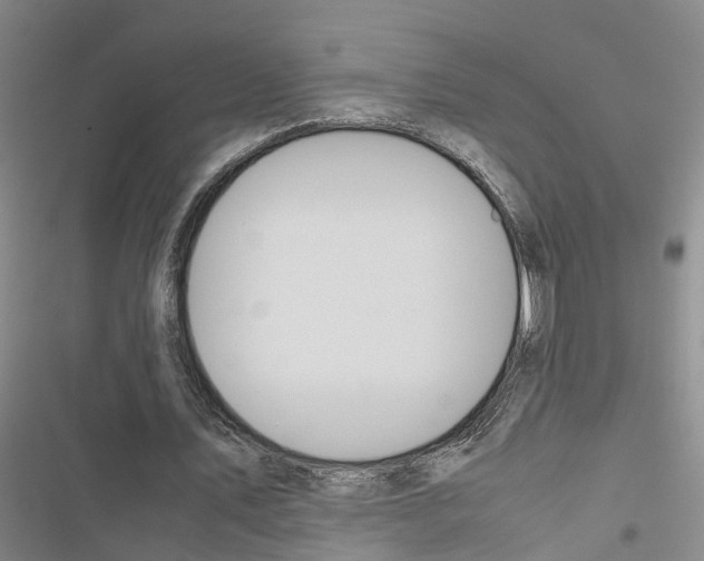 X0000116840579201001151249
