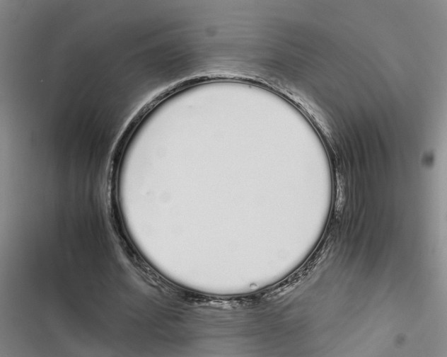 X0000116840580201001151249