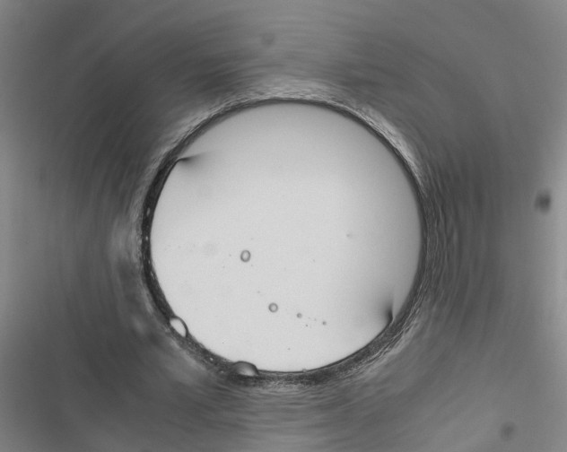 X0000116840581201001151249