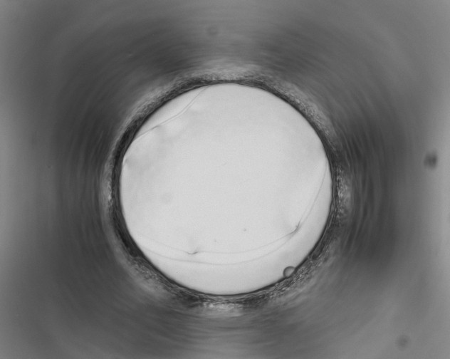 X0000116840582201001151249