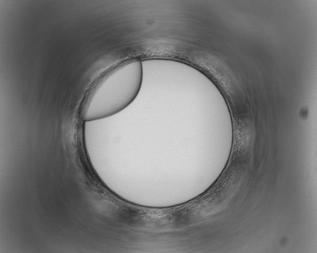 X0000116840583201001151249