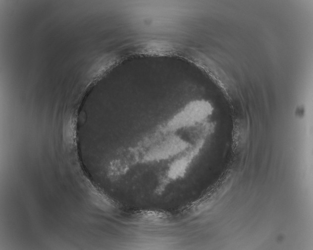 X0000116840585201001151249